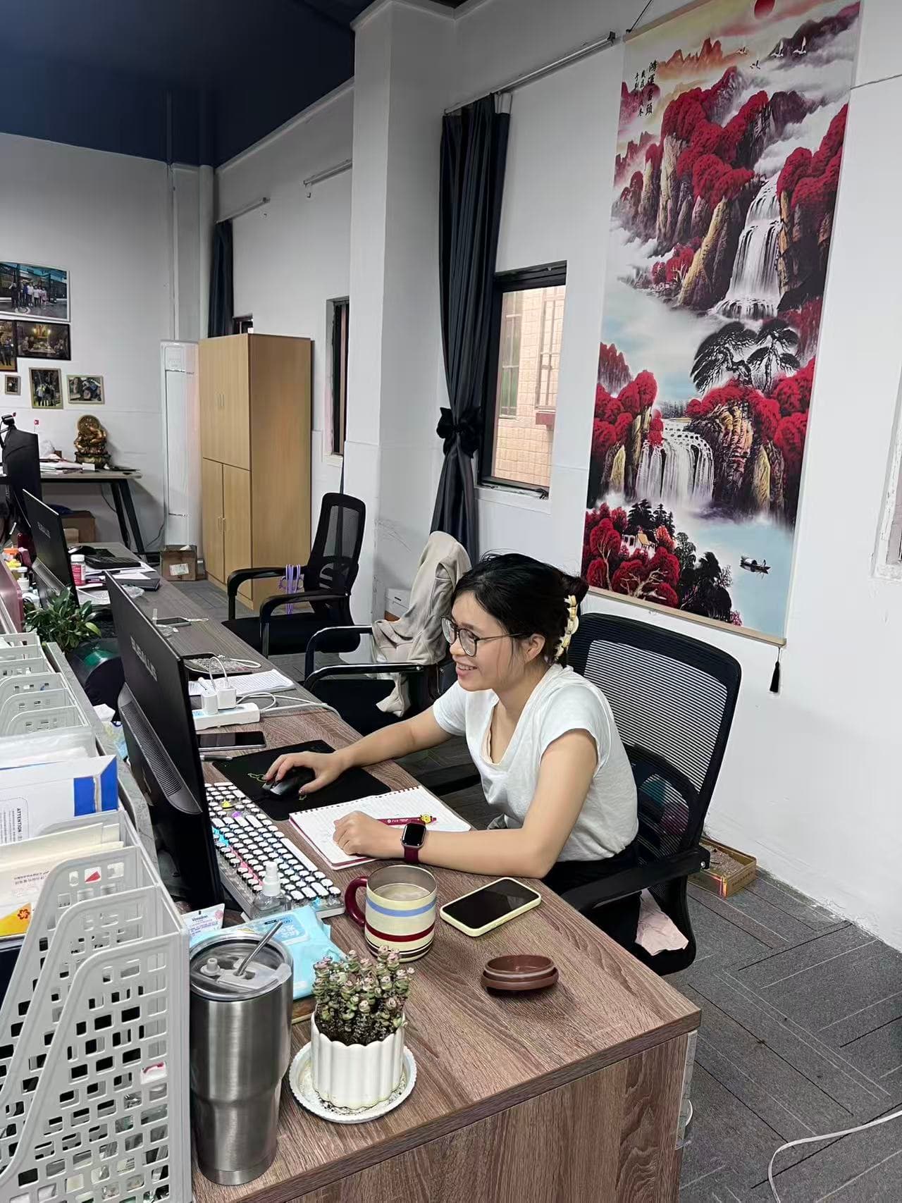 Команда Hainanet работает с поставщиками и клиентскими задачами в Китае