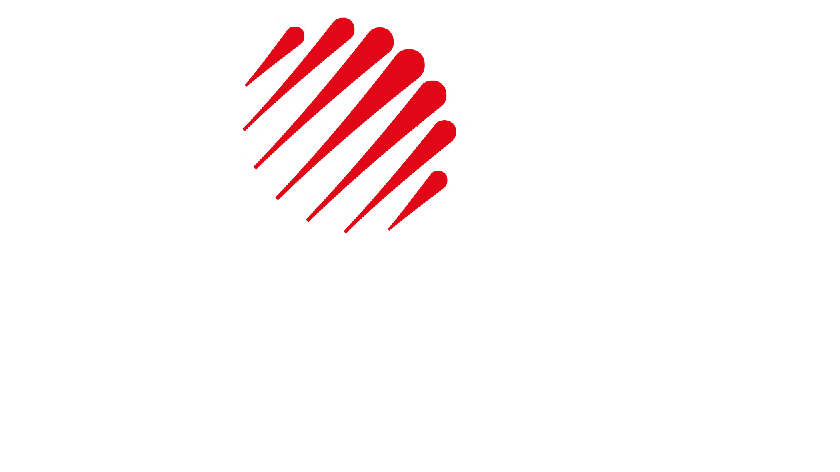 GS partner logo